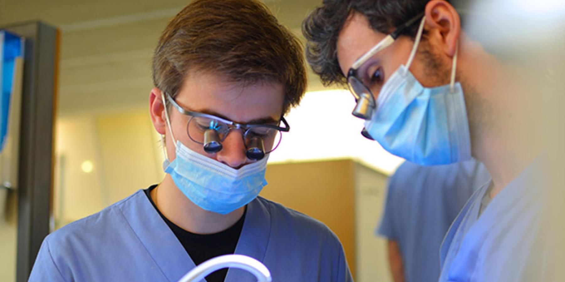 Image for news-15825-en