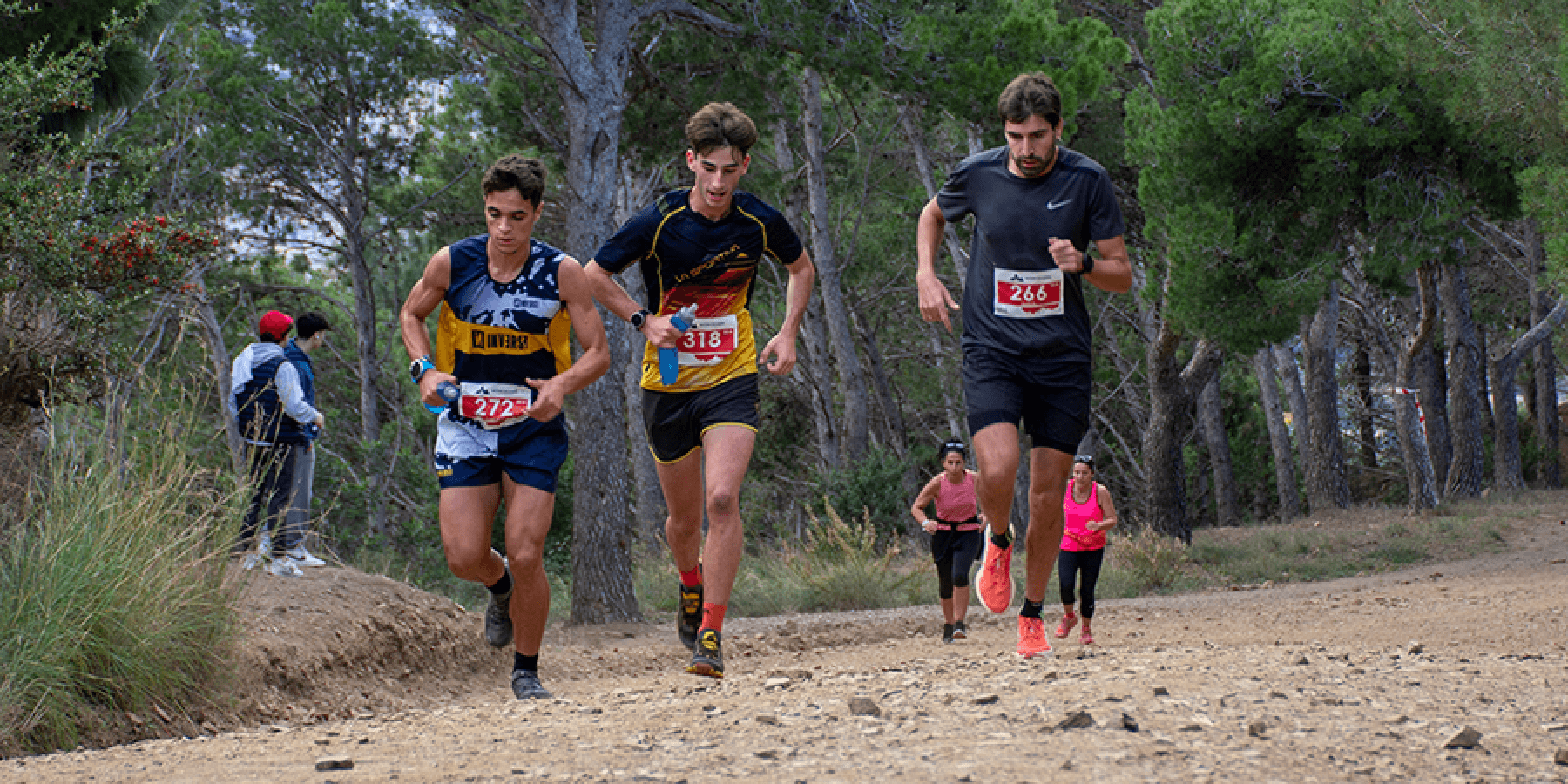 Image for news-19037-en